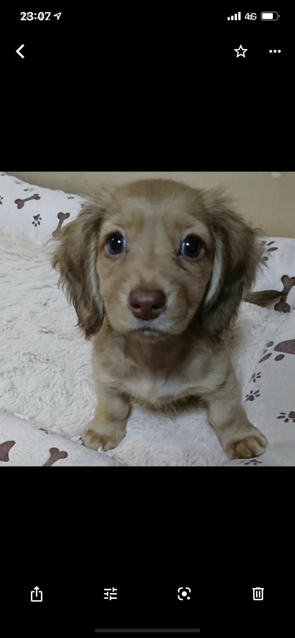 よーちゃんꉂ ᵔᗜᵔ と呼んでね Hirokiyoko1717 Twitter