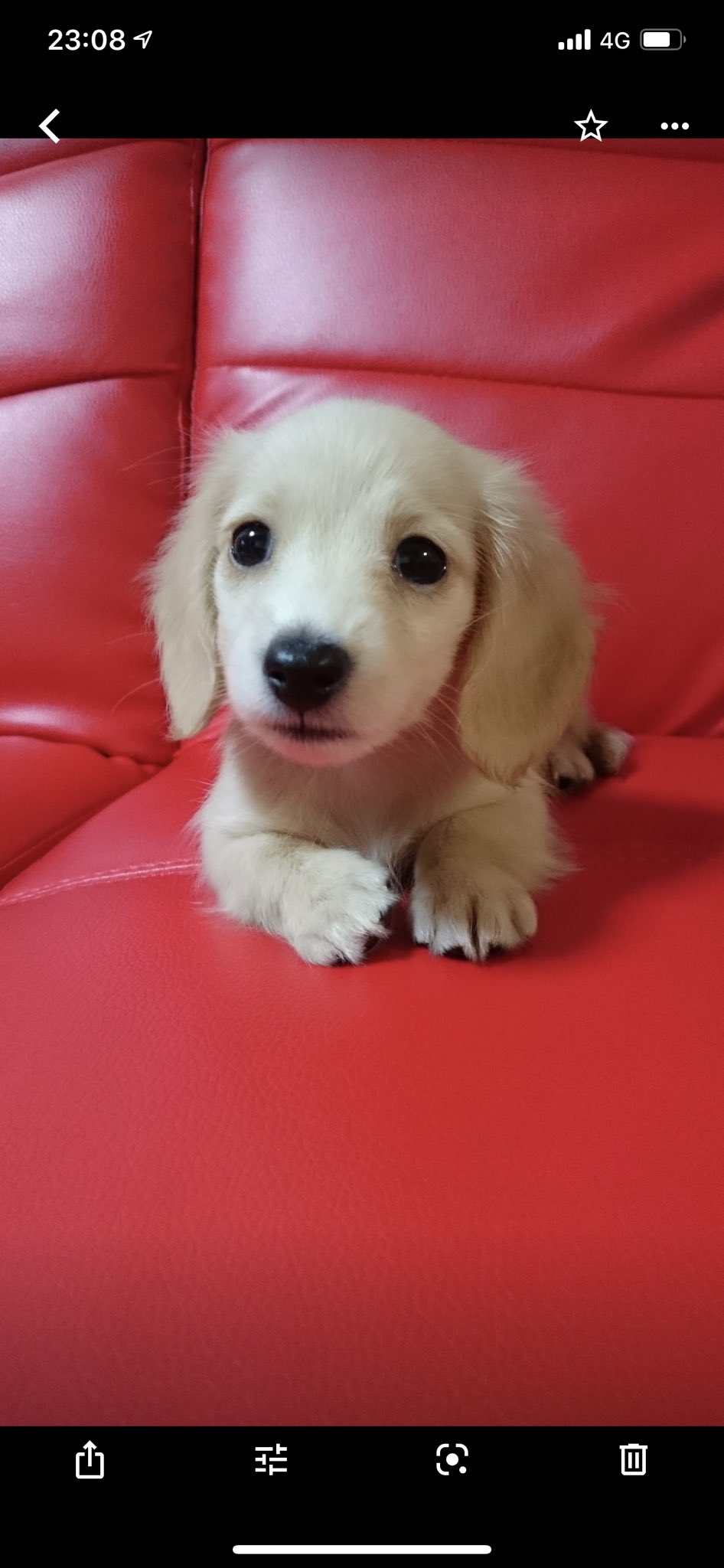 よーちゃんꉂ ᵔᗜᵔ と呼んでね Hirokiyoko1717 Twitter