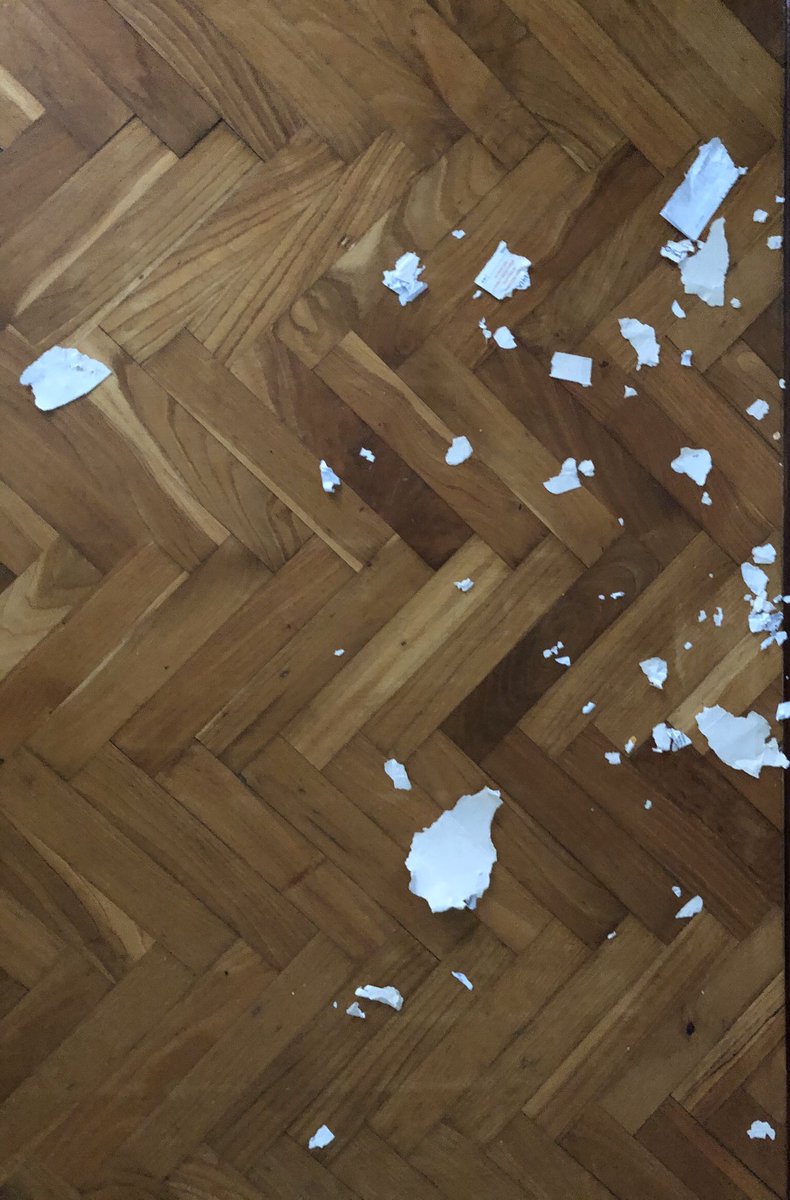 Violetazzurro's tweet photo. No he podido leer tu carta de amor, envรญamela otra vez
#putoperro https://t.co/O8USFPDoGh