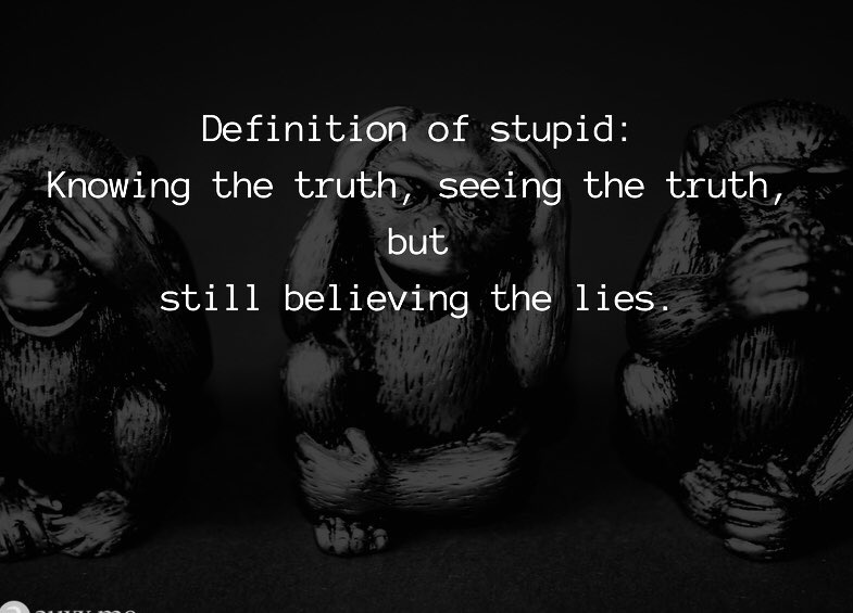 Definition of stupid