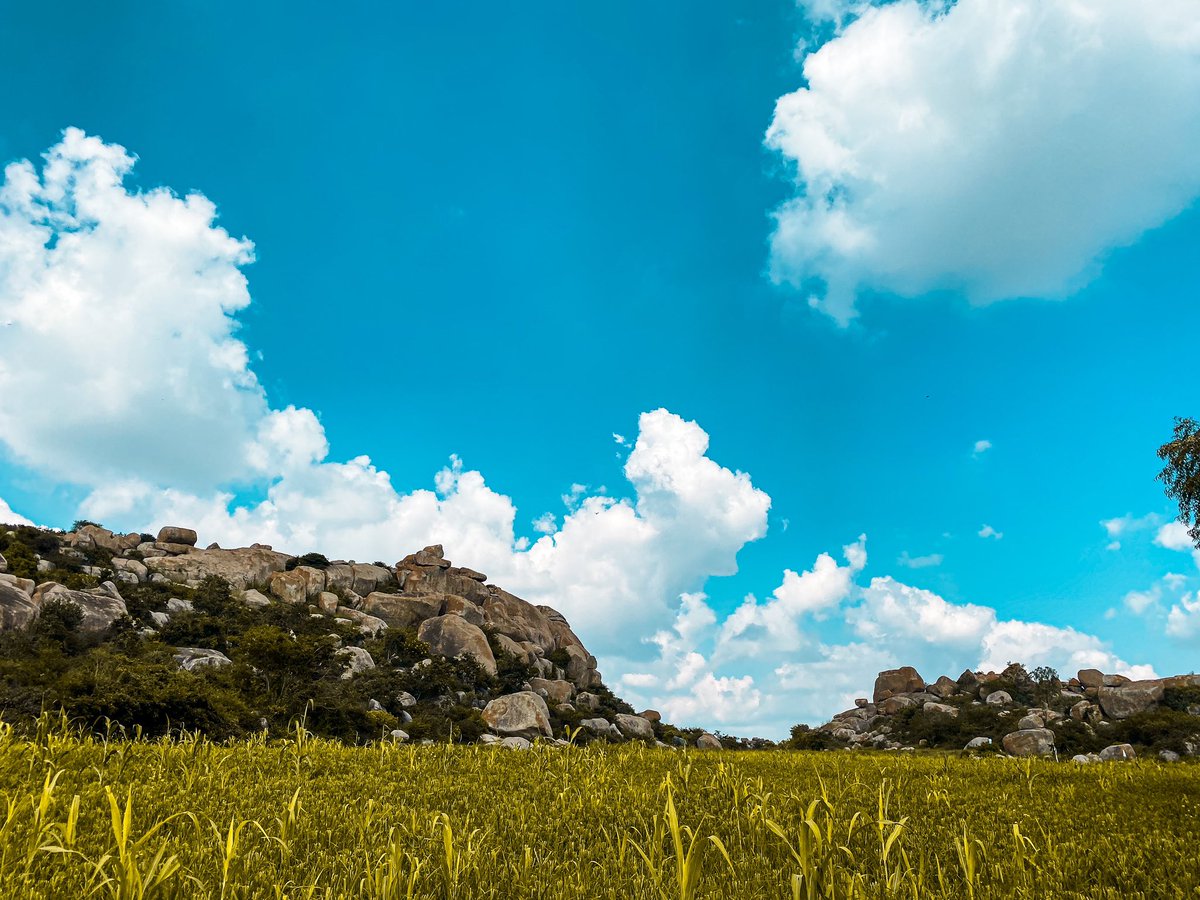 iamsandeepbhatt's tweet photo. Now, I have started missing hiking, fresh air and beautiful views.
But #stayhome 🏡
#staysafe #followlockdown #lovehiking https://t.co/PHIcAssANx