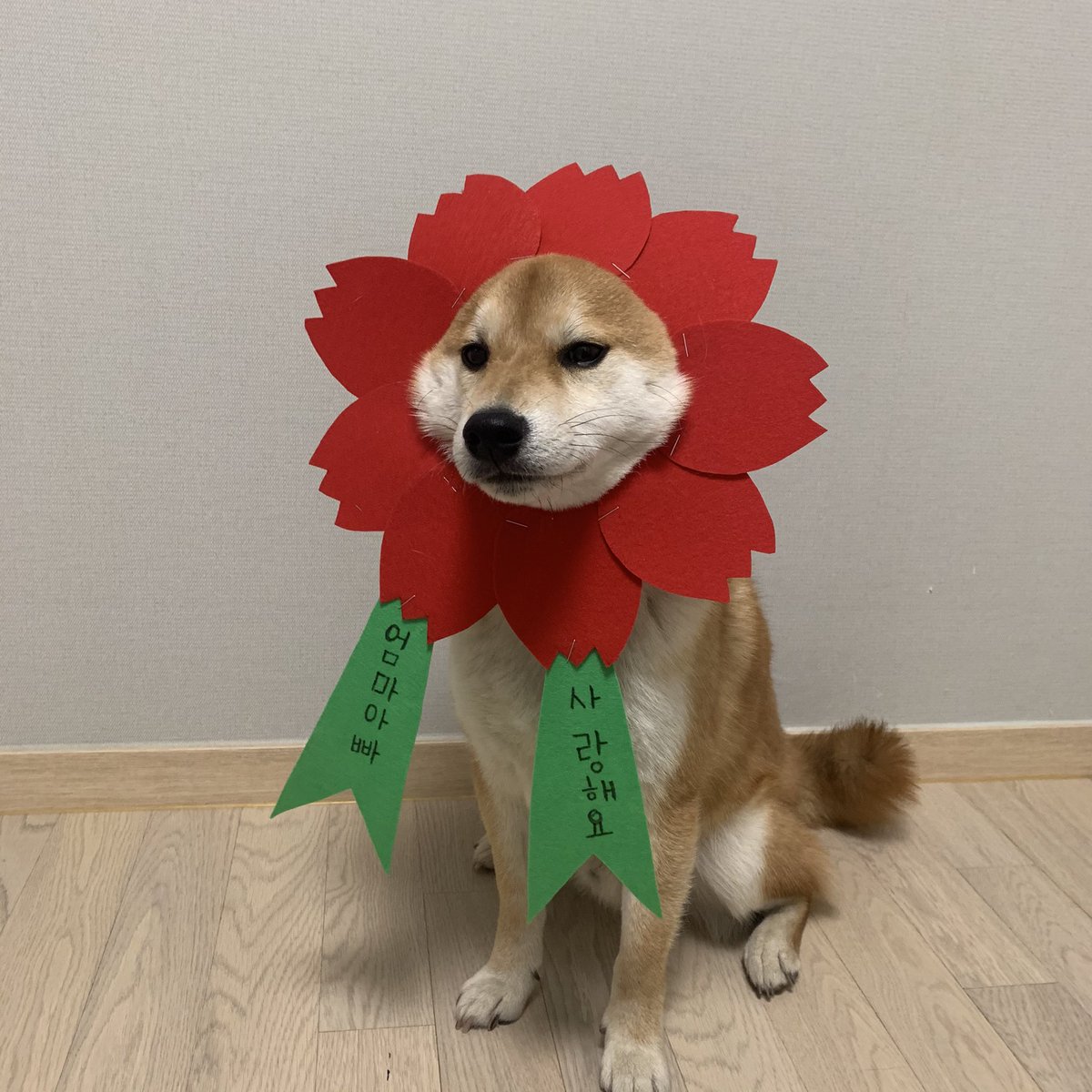 작년과 오늘 ㅋㅋ
