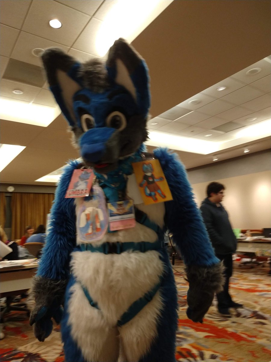 Riggle 🔜 FDATL (@riley_coyote_) on Twitter photo Missing my fuzzy friends this #FursuitFriday so have a few shots from #ASE2019 <a href="/AnthroSouthEast/">Anthro SouthEast</a> Missing my fuzzy friends this #FursuitFriday so have a few shots from #ASE2019 <a href="/AnthroSouthEast/">Anthro SouthEast</a>