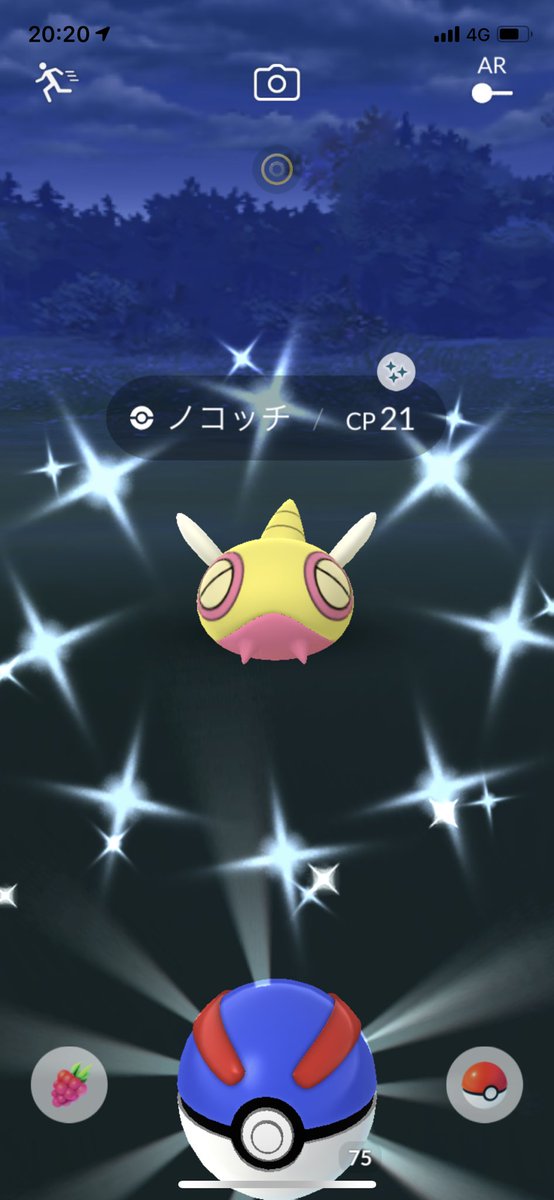 ノコッチ色違い ノコッチ色違い