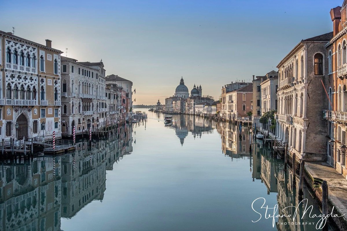 Stefano Mazzola tweet media