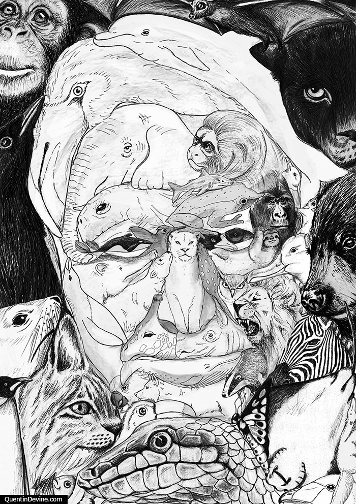 QuentinDevine's tweet image. Happy Birthday @AttenboroughSir #Attenborough #BLUEPLANET