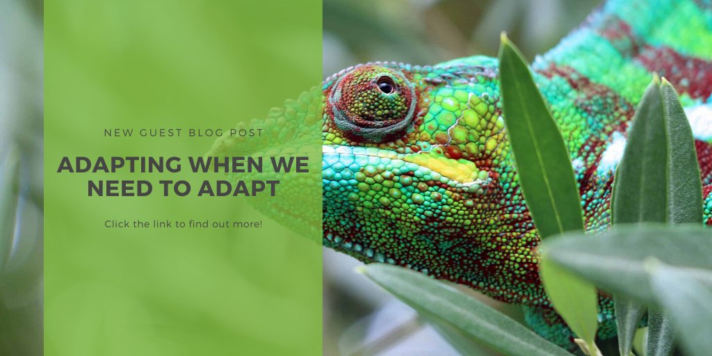 Connect_NowBN's tweet photo. Guest - @chewiemedia 

How do you stand out quickly and become visible to more people.  Uncertain times and the change in flow of new clients and customers can leave businesses looking to adapt their website in order to continue to bring in new business.
 https://t.co/lFldTLzgiO https://t.co/Qn49m5bkf5