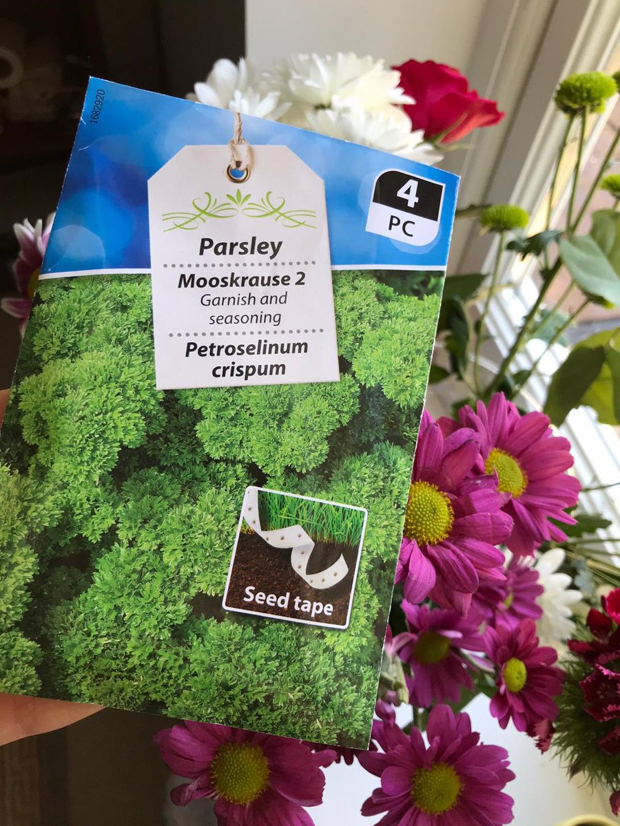 GreenHandsLDN's tweet photo. We’ve got our seeds ready for our #UrbanHerbGardening session next Saturday 🌿 

Mina will be growing Parsley and for Hannah, it’s Basil 🌿💚 

What about you?! 

Sign up to our event for free below ✨
https://t.co/iMajtlZ9SY https://t.co/nJhXGz89QR