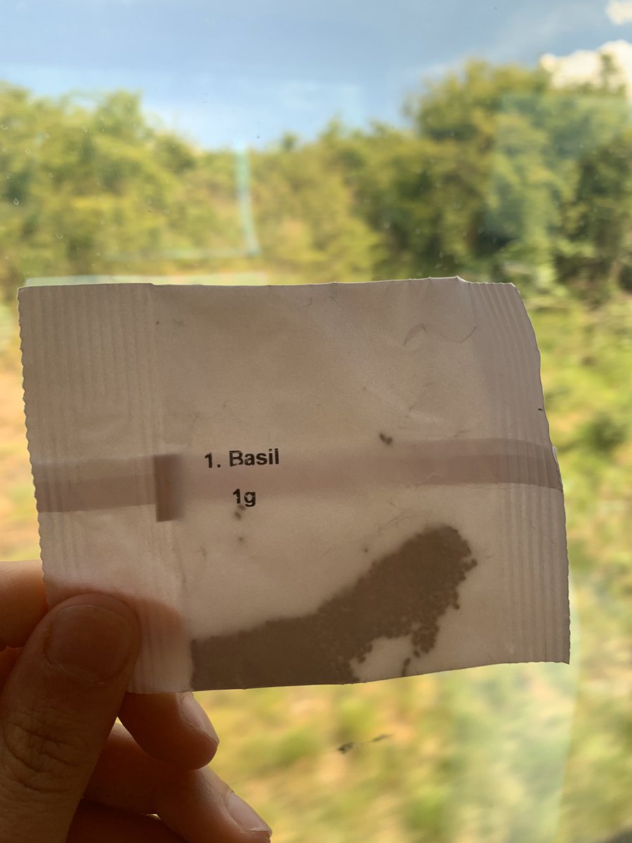 GreenHandsLDN's tweet photo. We’ve got our seeds ready for our #UrbanHerbGardening session next Saturday 🌿 

Mina will be growing Parsley and for Hannah, it’s Basil 🌿💚 

What about you?! 

Sign up to our event for free below ✨
https://t.co/iMajtlZ9SY https://t.co/nJhXGz89QR