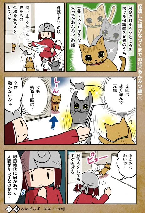 【毎日更新/猫マンガ】
保護した猫がなつくまで試行錯誤した話_1

#保護猫3兄妹 #猫 #ねこ漫画 #コミックエッセイ #猫まんが 