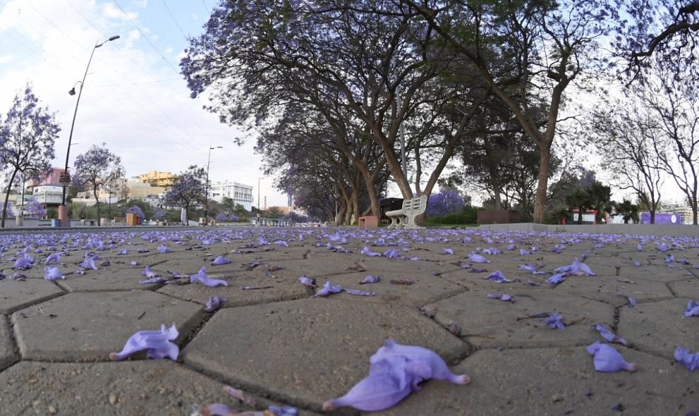 مشاريع السعودية tweet media