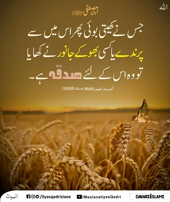 ItsDua_'s tweet photo. #مارخورز_پروموشن
@Sm2pk
@Hb2kh
@A5Malik
@JLone72
@Shzad0
💠
@Mughiss
@Maria4kram
@a1imt
@GrwTahir
@pstpindi
@PSTTeam2
@HafizPst20
@PST605
@Fiazmalik0
@Its_Razvi
@111PST
@dnasirbutt
@BarkhaButt1
@SyedAdnanAB
@UR592
@pst372
@rizwi955
@25PST
@NaeemJellani
💠
@ItsDua_ https://t.co/uXtDWLT1PY