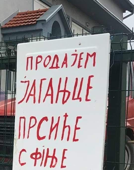 Vladimir Savić tweet media