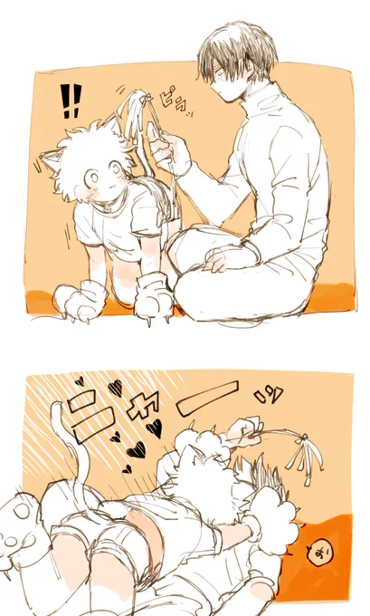 ショートの愛猫🐈りや～(轟出) 