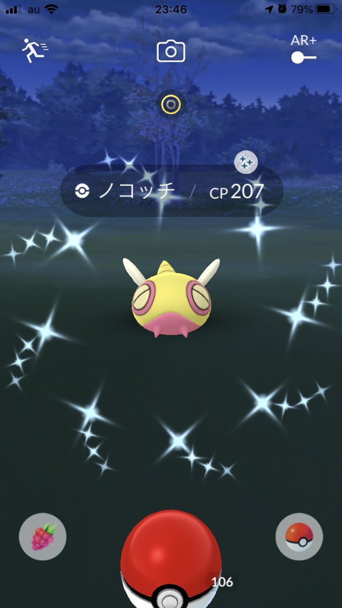 色違いノコッチ Twitter Search 色違いノコッチ Twitter Search
