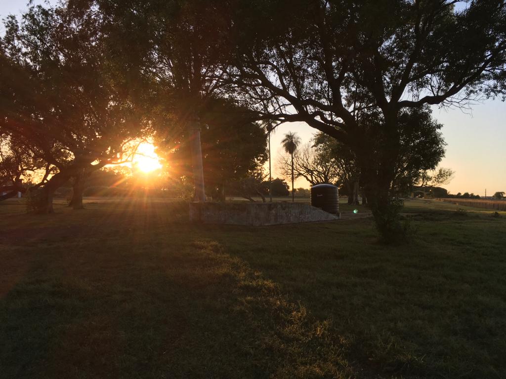idercorrientes's tweet photo. Con los primeros rayos del sol comenzamos junto al @mp_ctes con la carga y clasificación para la filmación de cabezas para el Remate #Televisado por @elrural en Caá Catí donde se espera una hacienda de 2000 animales de toda la zona norte de Corrientes. https://t.co/UgZhvwLp7J