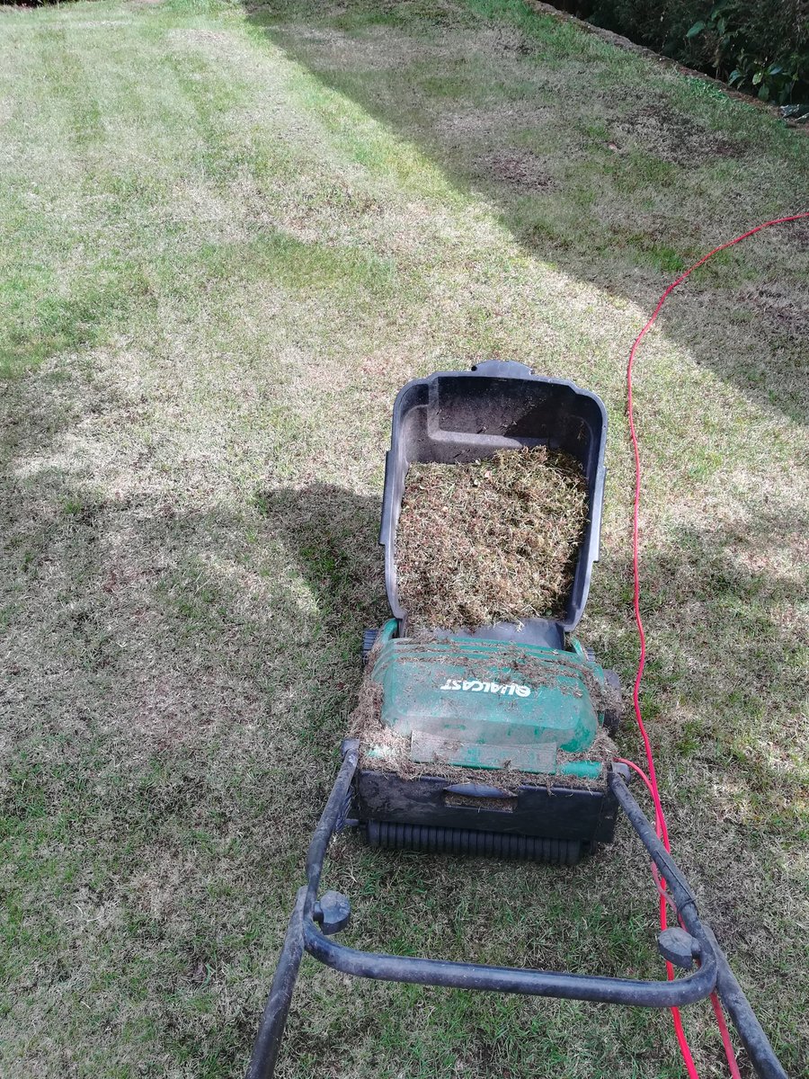 missehay's tweet photo. Just in from scarifying the grass and listening to podcasts to make it bearable! I would highly recommend both of these - they were really inspiring and really made me think about being positive during this time! Definitely feel I managed all 5 ways of wellbeing today! @MentalKHS https://t.co/bNur6y9J6Z