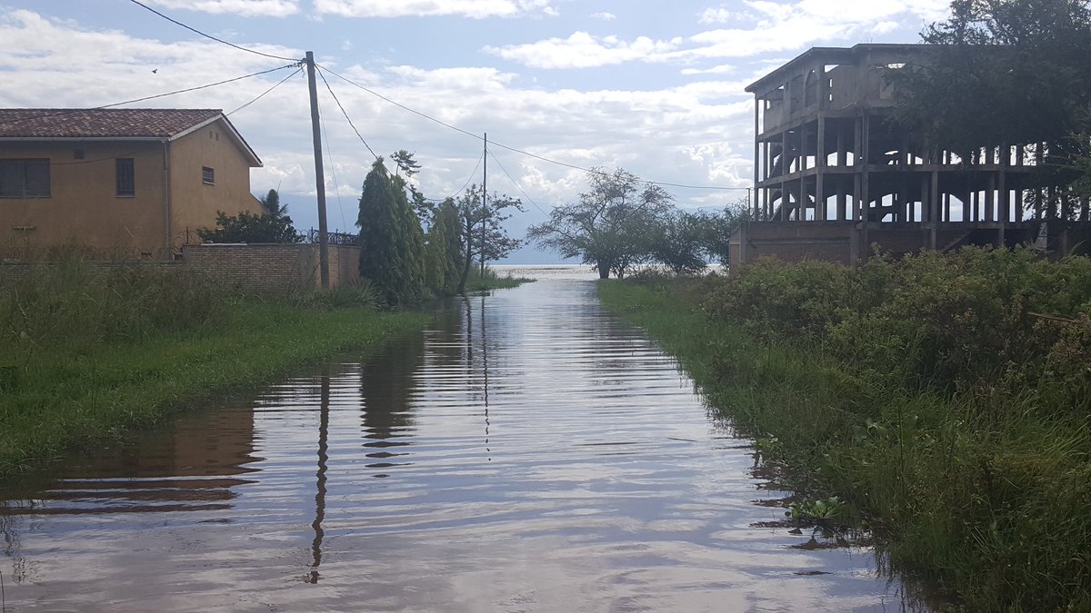 satraco's tweet photo. #ClimateChange context
#LakeTanganyika
Zone située en aval de l'avenue du large gravement affectée par la montée du Lac #Bujumbura
Forçons nous toujours à Construire au delà de 150 m du Lac.
@climateprogress
#letsprotect our environment https://t.co/MHobTBY641
