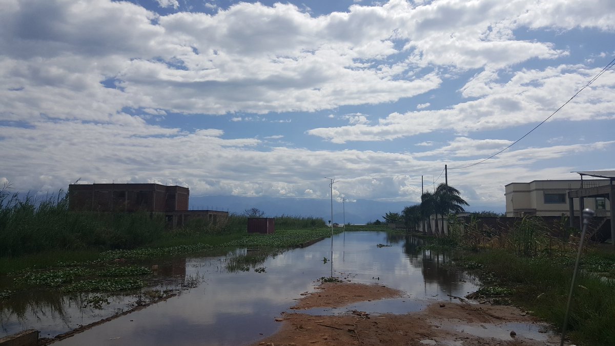 satraco's tweet photo. #ClimateChange context
#LakeTanganyika
Zone située en aval de l'avenue du large gravement affectée par la montée du Lac #Bujumbura
Forçons nous toujours à Construire au delà de 150 m du Lac.
@climateprogress
#letsprotect our environment https://t.co/MHobTBY641