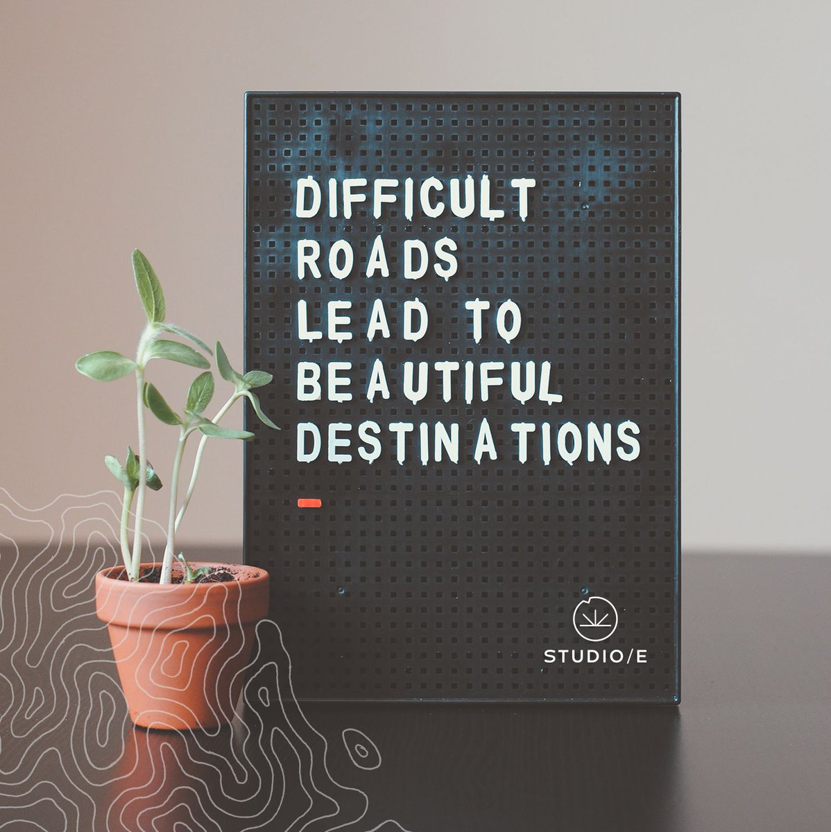 Studio/E tweet media