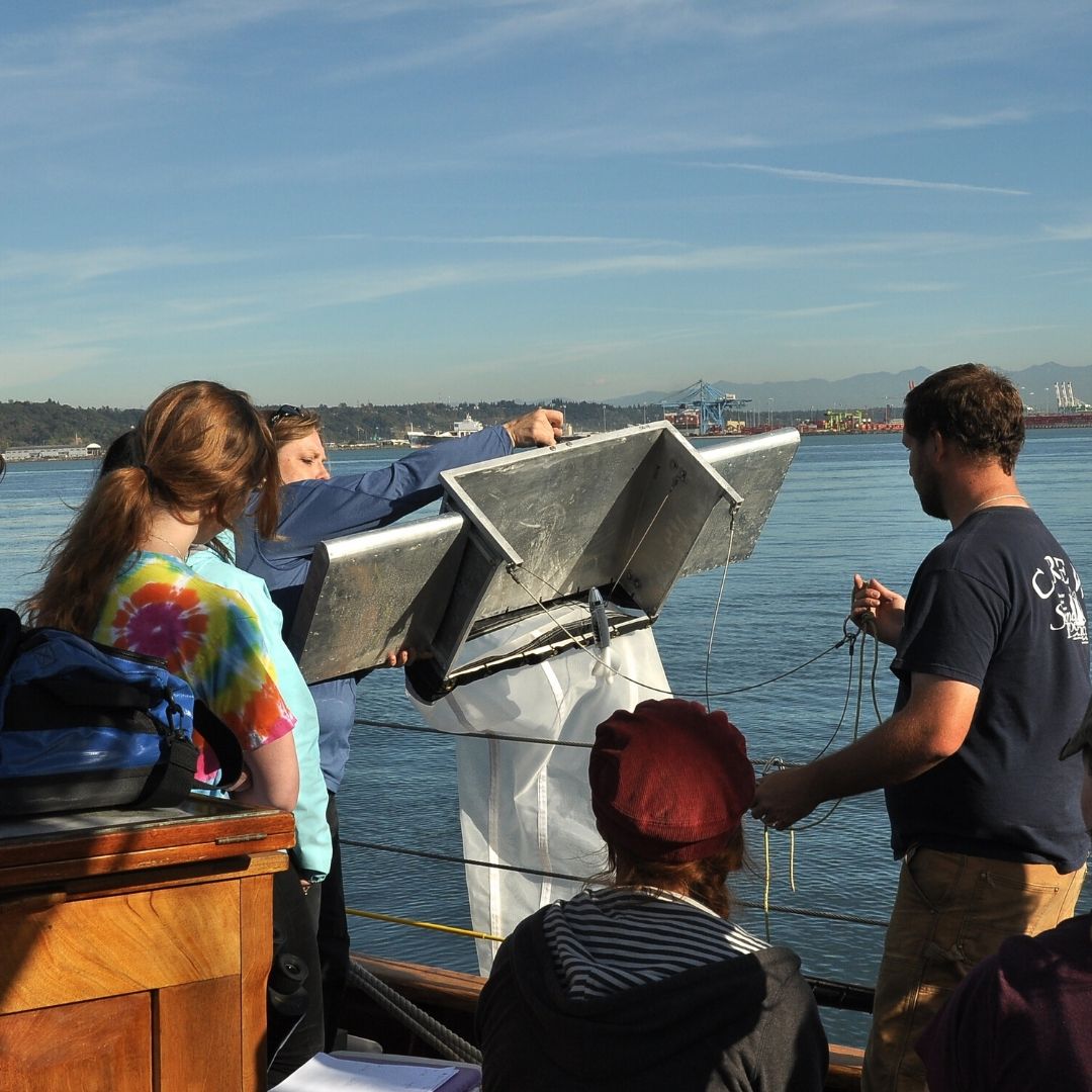 Sound Experience tweet media