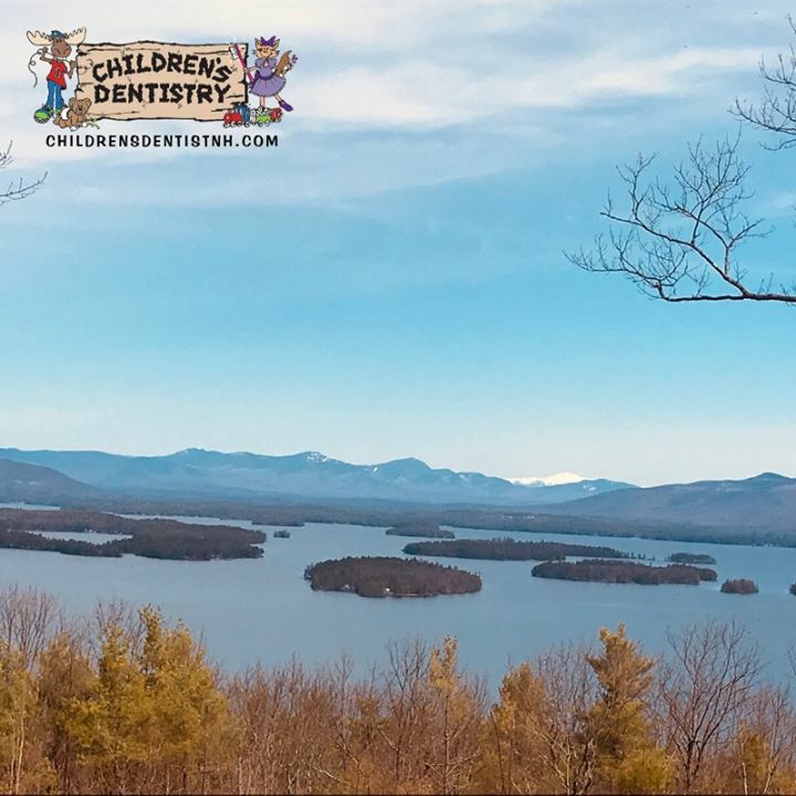 CDotLR's tweet image. 