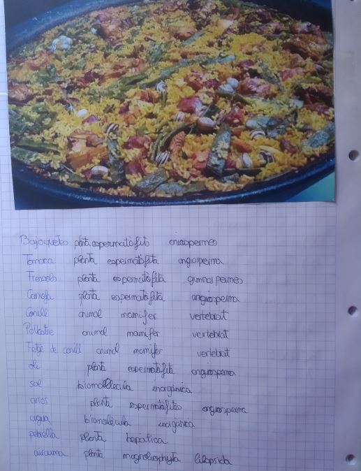 MariolaScience's tweet image. BIOLOGÍA EN LA COCINA (1ºESO)
Actividad familiar y de transición entre niveles. Clasificar los alimentos de una receta de cocina que hagan en casa, en los cinco reinos y moléculas estudiadas, al máximo nivel de detalle posible. Además: foto y reflexión #ProfesBioGeo #ProfesCovid