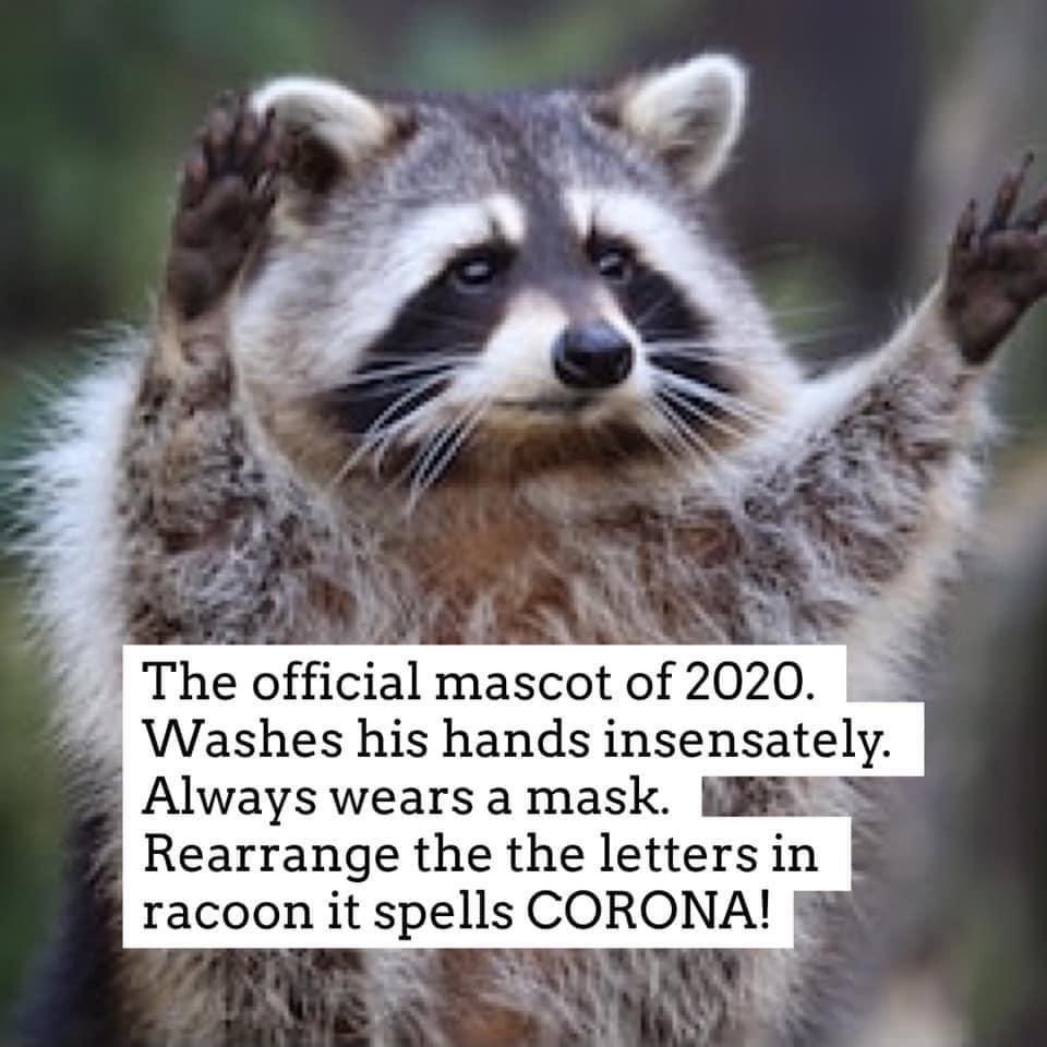 Orp27's tweet photo. @bart0ast 😂 https://t.co/ktrdnmFuar