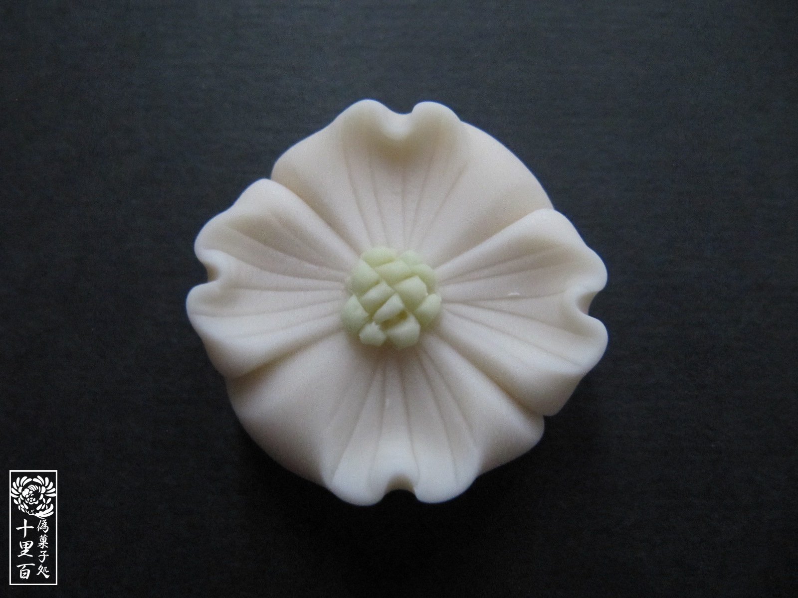 Twitter 上的 十里百 5 9の誕生花はハナミズキ 花言葉 あなたへの返礼 5 9生まれの方お誕生日おめでとうございます 十里百誕生花和菓子化計画 T Co Sw4tf0oita Twitter