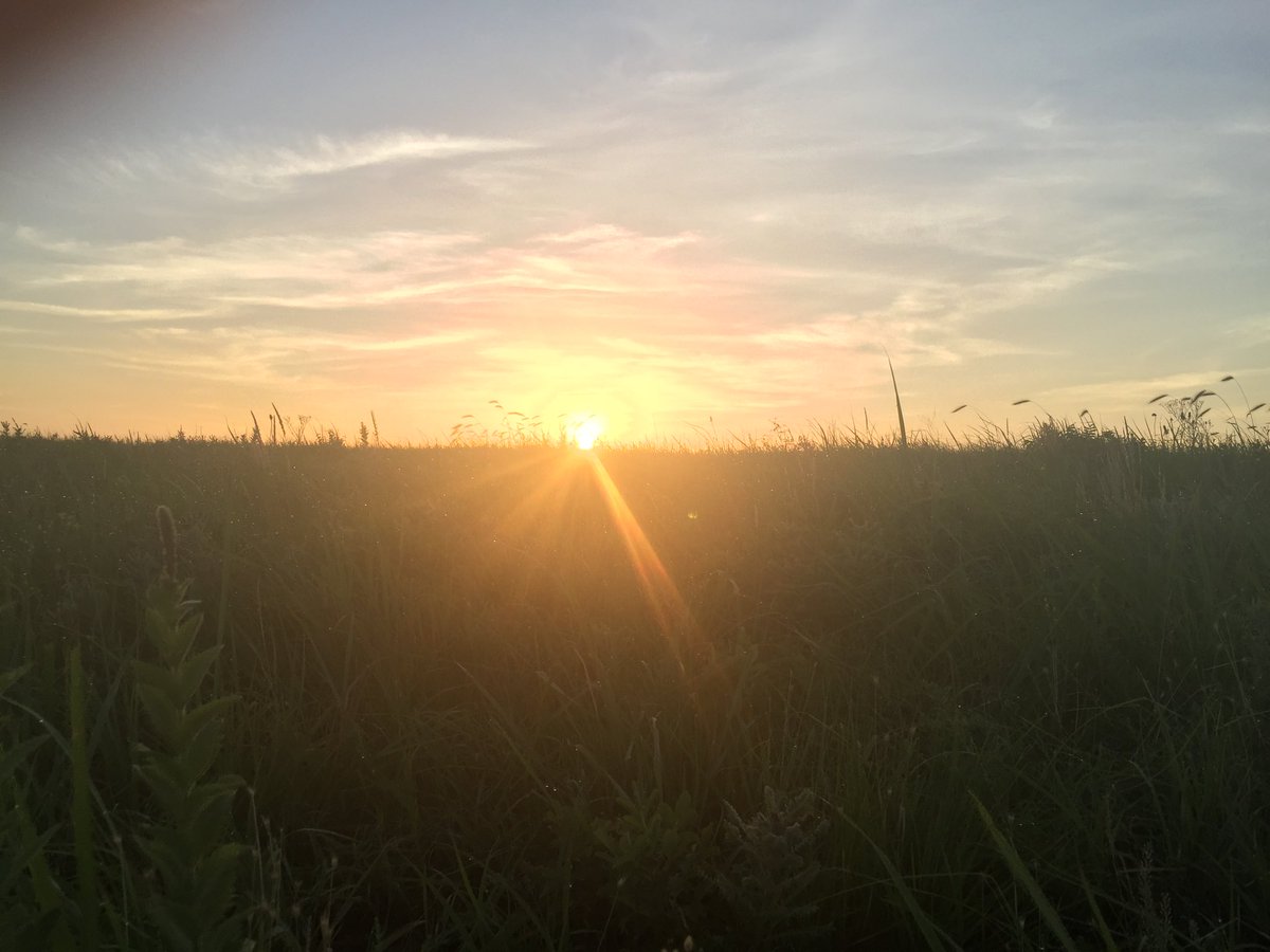 We end our #morningmotivation with this #flashbackfriday sunrise view from Konza Prairie. Congratulations to all on finishing this most unusual of semesters. We wish you the best of luck with finals, and send a particularly warm celebratory cheer to all those graduating!
