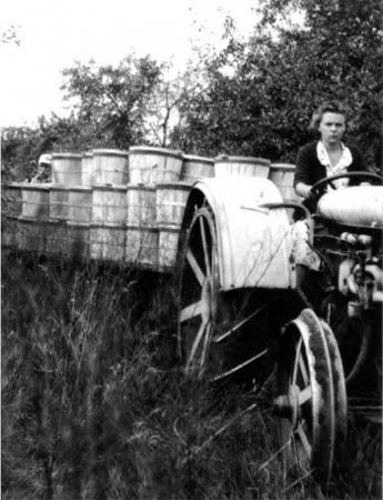 Happy 100th birthday Rosalind Morris! Pioneer in agricultural science at a time when there were very few women scientists, wheat cytogeneticist Rosalind Morris was a mentor to many: bit.ly/3chS2Mu 

<a href="/Cornell/">Cornell University</a>  <a href="/CGIARgender/">CGIAR GENDER</a> #womeninscience