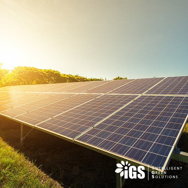 igsithaca's tweet photo. Do you feel like you are spending too much on electricity? Check out  our latest article to see how you can save money on your utility bill.
https://t.co/Wlkcl5v0Sw https://t.co/rbEHeiHPu9