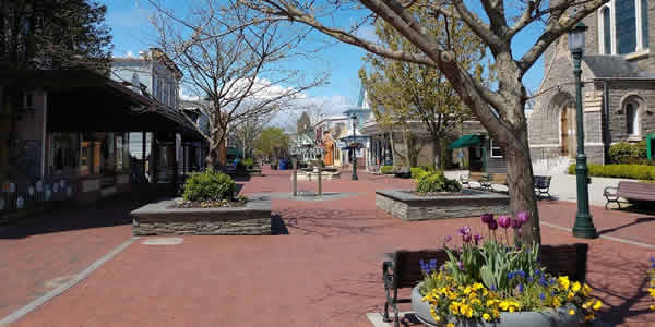 Cape May Writer tweet media