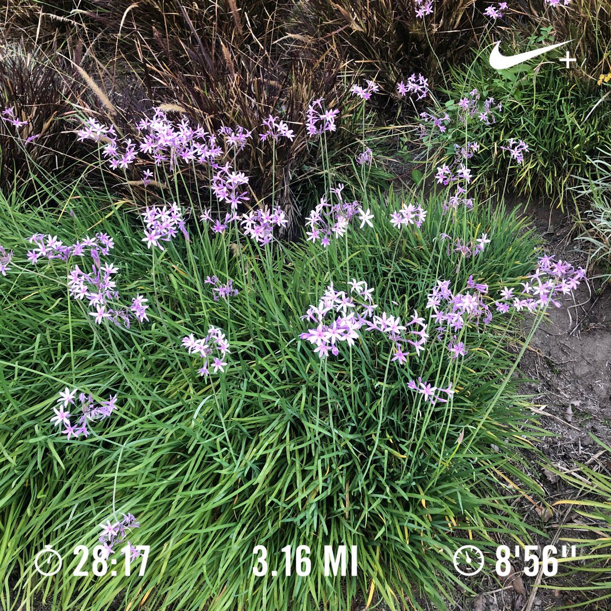 jcouvy's tweet photo. Been focusing on the beauty in God’s creation during my morning runs. Friday morning 3 mile #Run4Purpose for .@KershsChallenge https://t.co/0UJuwo6CoW