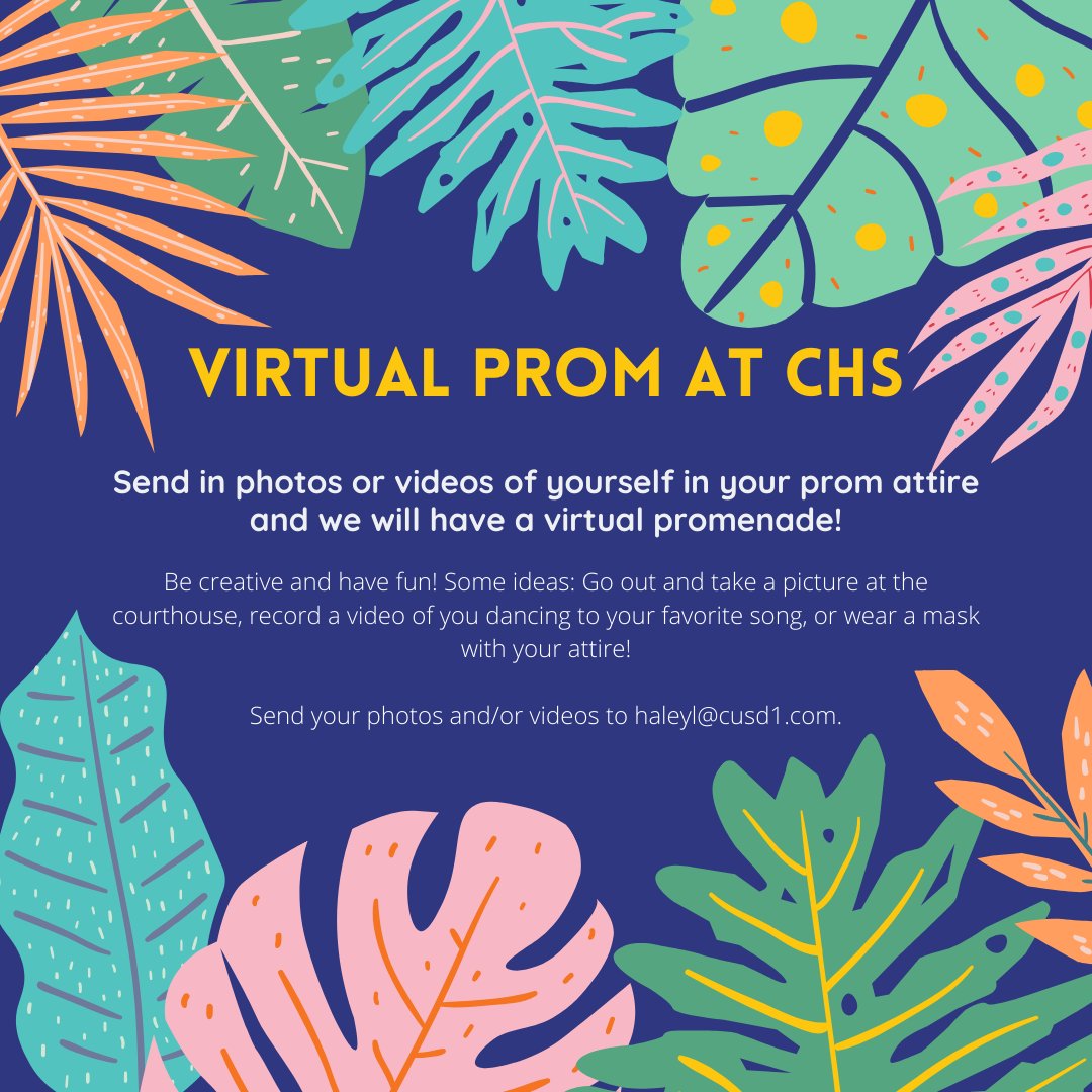 CarlinvilleHS's tweet photo. Virtual Prom https://t.co/GuZMkplszS https://t.co/3Bra6f6L20