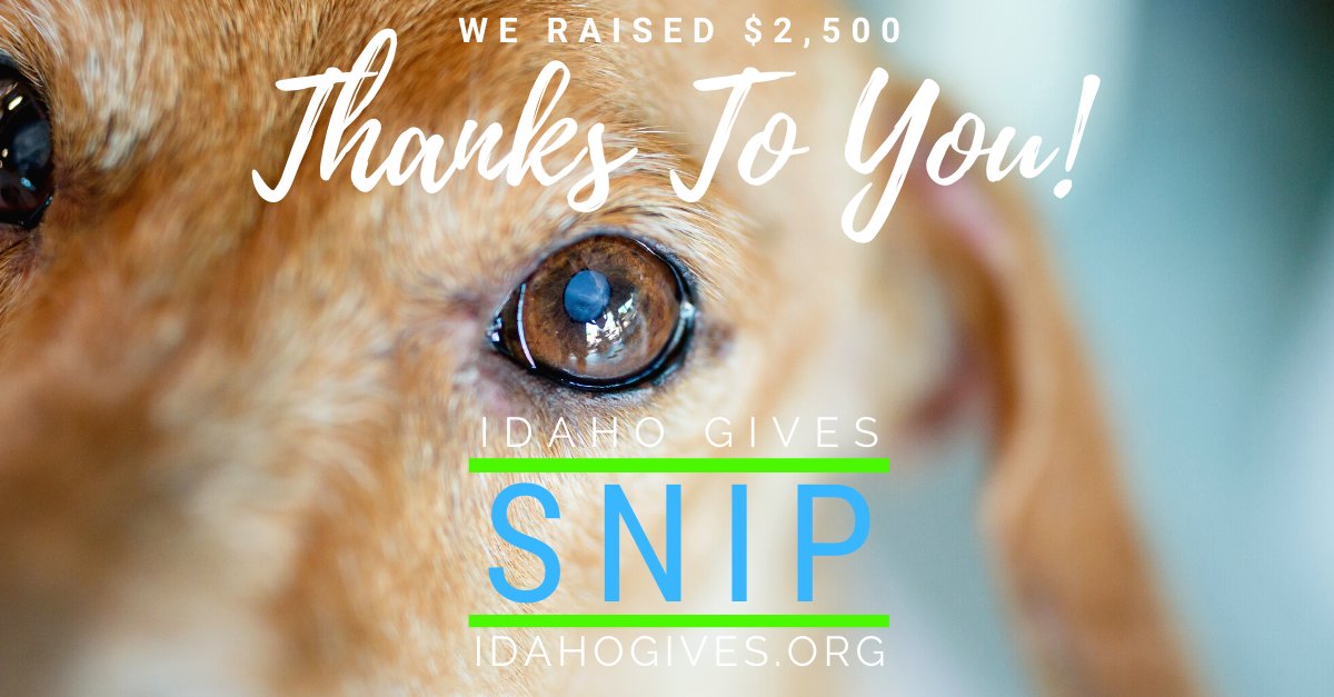 Spay/Neuter ID Pets (@snipidaho) on Twitter photo 