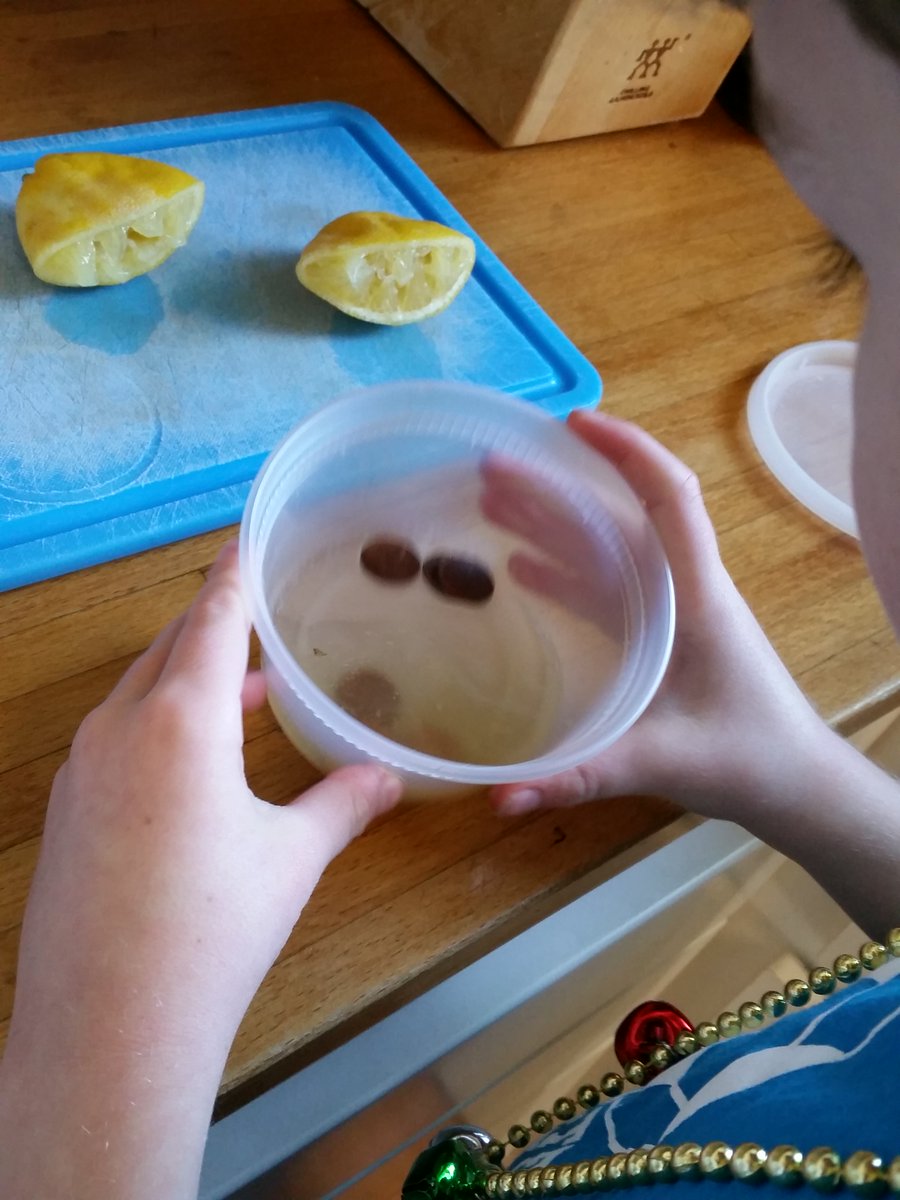 ics_gr3's tweet photo. 3rd Grade Science experiments at home!  Learning and having fun!  @ICSchool_Tech @icschool_online @ArchNY_Schools #icsisthebest https://t.co/BdoV9ocouo