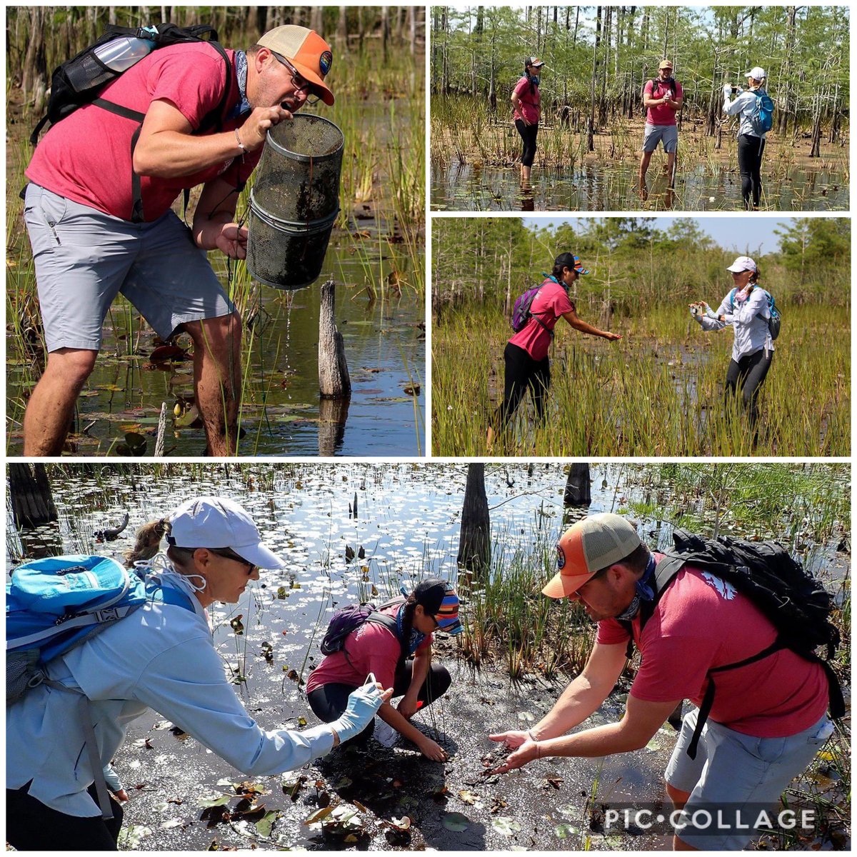 STEMagillPSMS's tweet photo. Another amazing opportunity for the students in Palm Beach County is in the books! Each week ERM seems to somehow top the week from before. Your dedication to the Natural Areas and educating us to the hidden beauty they bestow is appreciated beyond words!! #PBScienceInTheSun https://t.co/k3bytUXxfu