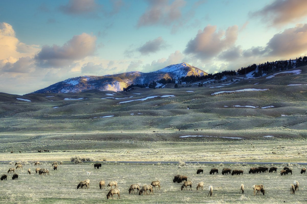 What a beautiful weekend to get out and explore the countryside in Gardiner, Montana.  Book a Hotel room with Us, Were just one block from @YellowstoneNPS #exploreyellowstone #yellowstonebeauty #beyondyellowstone #adventure #yellowstonenationalpark
#ynp #gardinermt
