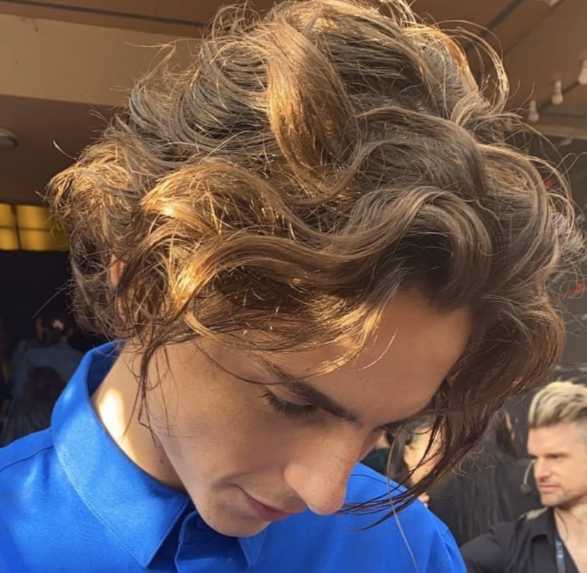musetta - timothée chalamet daily on Twitter: musetta - timothée chalamet daily on Twitter: