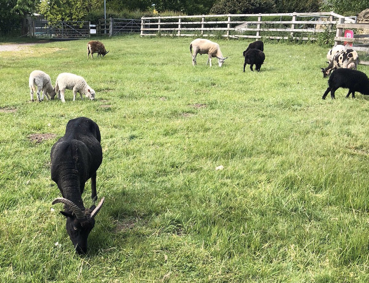 arrowgroup's tweet image. Since I can’t get out on the motorbike cycling is the next best thing. Gentle amble along the Trent Valley.