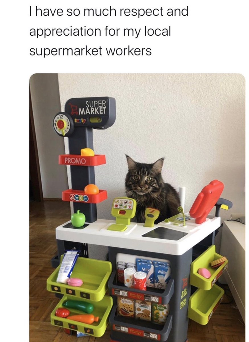 trixietriz's tweet photo. Su una pagina di meme mi sono ritrovata il gatto che molte scambiarono per Miroslav 😂 #tishdots https://t.co/3Lax1W9Agq