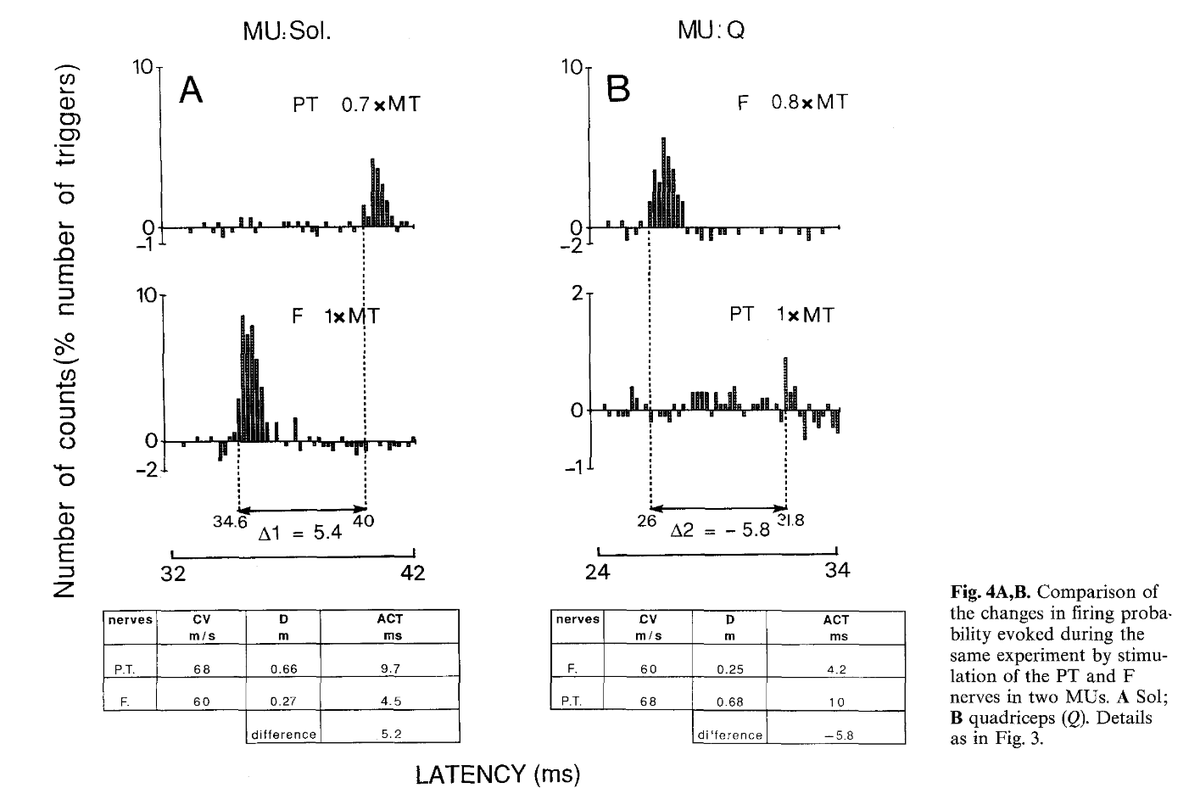 Afferent feedback from the soleus is linked with the excitation of the motor units in the quads which seems to work both ways. Similar neural relationship exist between medial gastroc and hamstrings, as well as soleus and peroneals  https://www.ncbi.nlm.nih.gov/pubmed/8299754 
