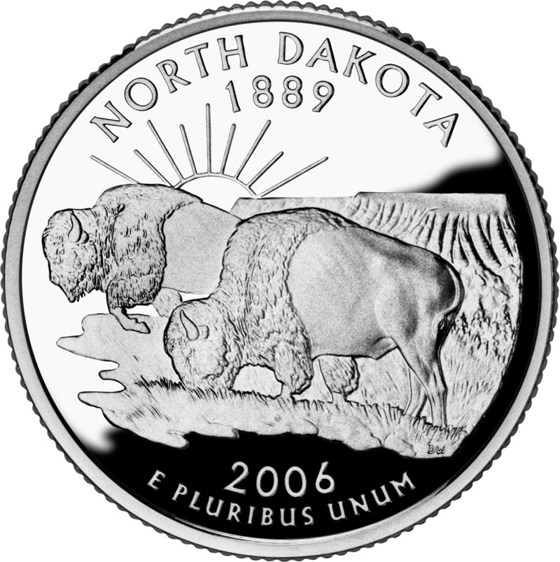 Why do so many 2006 quarters feature the sun going super nova.2/10 interesting conspiracy, but bison again (that field in my friends farm was perfectly fine housing our trampoline. We didn't need bison)