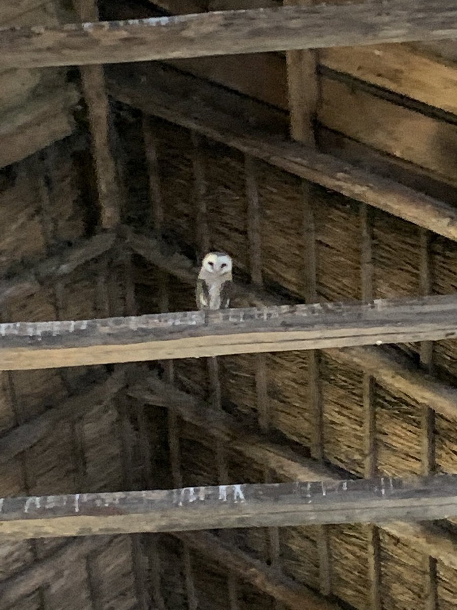 Chris Slager tweet media