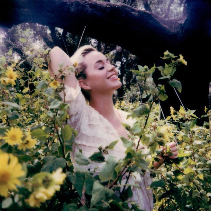 katydailybrasil's tweet photo. #KP5: Cada buquê disponível no site, contém trechos que provavelmente façam parte do próximo álbum que será lançado em breve! https://t.co/yvuOfNUZZT