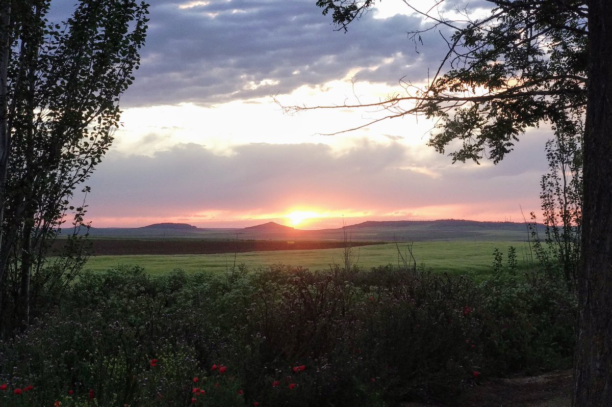 Raúl Prada (@cazaycampo) on Twitter photo 