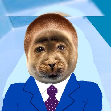 在 Twitter 上觀看圖片
