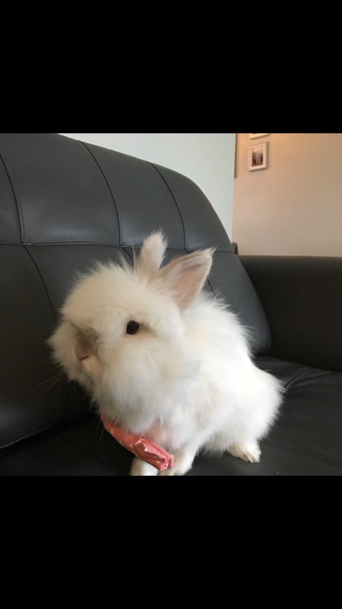 Mrs. Battiste FSP class tweet media