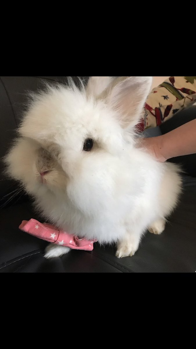 Mrs. Battiste FSP class tweet media